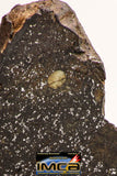 08922 -Top Rare NWA IMB Impact Melt Breccia Chondrite Meteorite Polished Section 73.2 g