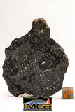 08922 -Top Rare NWA IMB Impact Melt Breccia Chondrite Meteorite Polished Section 73.2 g