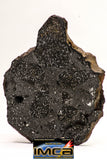 08922 -Top Rare NWA IMB Impact Melt Breccia Chondrite Meteorite Polished Section 73.2 g