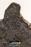 08922 -Top Rare NWA IMB Impact Melt Breccia Chondrite Meteorite Polished Section 73.2 g