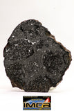 08923 -Top Rare NWA IMB Impact Melt Breccia Chondrite Meteorite Polished Section 75.0 g