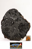 08923 -Top Rare NWA IMB Impact Melt Breccia Chondrite Meteorite Polished Section 75.0 g