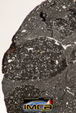 08923 -Top Rare NWA IMB Impact Melt Breccia Chondrite Meteorite Polished Section 75.0 g