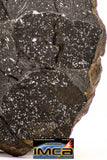 08923 -Top Rare NWA IMB Impact Melt Breccia Chondrite Meteorite Polished Section 75.0 g