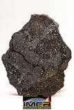 08924 -Top Rare NWA IMB Impact Melt Breccia Chondrite Meteorite Polished Section 57.9 g