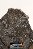 08924 -Top Rare NWA IMB Impact Melt Breccia Chondrite Meteorite Polished Section 57.9 g