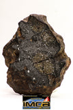 08924 -Top Rare NWA IMB Impact Melt Breccia Chondrite Meteorite Polished Section 57.9 g