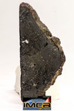 08925 -Top Rare NWA IMB Impact Melt Breccia Chondrite Meteorite Polished Section 44.3 g