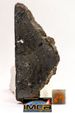 08925 -Top Rare NWA IMB Impact Melt Breccia Chondrite Meteorite Polished Section 44.3 g