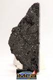 08925 -Top Rare NWA IMB Impact Melt Breccia Chondrite Meteorite Polished Section 44.3 g