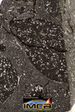 08926 -Top Rare NWA IMB Impact Melt Breccia Chondrite Meteorite Polished Section 29.1 g