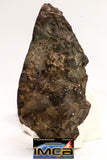 08926 -Top Rare NWA IMB Impact Melt Breccia Chondrite Meteorite Polished Section 29.1 g