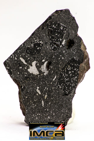 08927 -Top Rare NWA IMB Impact Melt Breccia Chondrite Meteorite Polished Section 21.8 g