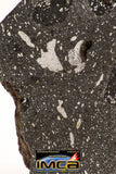 08927 -Top Rare NWA IMB Impact Melt Breccia Chondrite Meteorite Polished Section 21.8 g