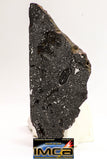 08928 -Top Rare NWA IMB Impact Melt Breccia Chondrite Meteorite Polished Section 45.2 g