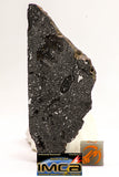 08928 -Top Rare NWA IMB Impact Melt Breccia Chondrite Meteorite Polished Section 45.2 g