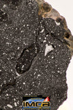 08928 -Top Rare NWA IMB Impact Melt Breccia Chondrite Meteorite Polished Section 45.2 g