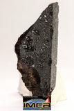 08928 -Top Rare NWA IMB Impact Melt Breccia Chondrite Meteorite Polished Section 45.2 g