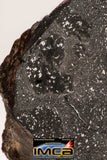 08928 -Top Rare NWA IMB Impact Melt Breccia Chondrite Meteorite Polished Section 45.2 g