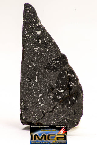 08929 -Top Rare NWA IMB Impact Melt Breccia Chondrite Meteorite Polished Section 13.6 g