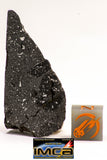 08929 -Top Rare NWA IMB Impact Melt Breccia Chondrite Meteorite Polished Section 13.6 g