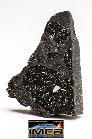 08930 -Top Rare NWA IMB Impact Melt Breccia Chondrite Meteorite Polished Section 10.6 g