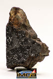08930 -Top Rare NWA IMB Impact Melt Breccia Chondrite Meteorite Polished Section 10.6 g