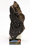 08931 -Top Rare NWA IMB Impact Melt Breccia Chondrite Meteorite Polished Section 2.24 g