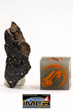 08931 -Top Rare NWA IMB Impact Melt Breccia Chondrite Meteorite Polished Section 2.24 g