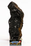 08933 -Top Rare NWA IMB Impact Melt Breccia Chondrite Meteorite Polished Section 1.64 g