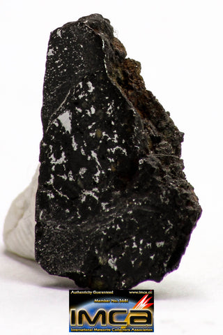 08934 -Top Rare NWA IMB Impact Melt Breccia Chondrite Meteorite Polished Section 0.85 g