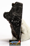 08934 -Top Rare NWA IMB Impact Melt Breccia Chondrite Meteorite Polished Section 0.85 g