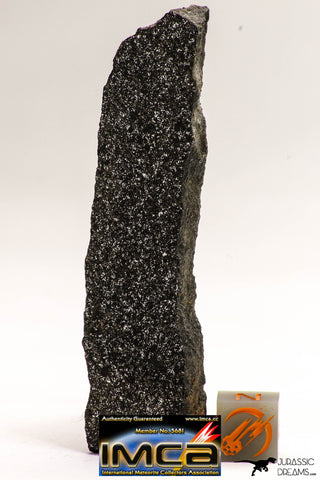 08937 - Top Rare NWA Polished Section of Enstatite Chondrite EL6 26.4 g