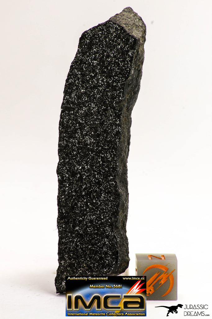 08938 - Top Rare NWA Polished Section of Enstatite Chondrite EL6 29.2 g