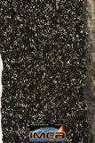 08938 - Top Rare NWA Polished Section of Enstatite Chondrite EL6 29.2 g