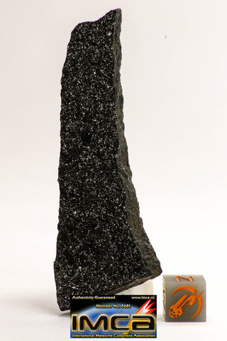 08939 - Top Rare NWA Polished Section of Enstatite Chondrite EL6 41.7 g