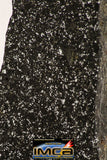 08939 - Top Rare NWA Polished Section of Enstatite Chondrite EL6 41.7 g
