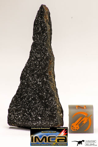 08940 - Top Rare NWA Polished Section of Enstatite Chondrite EL6 12.6 g