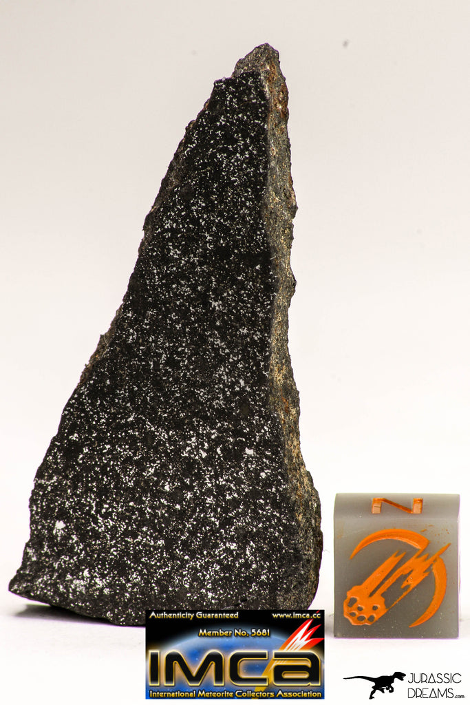 08941 - Top Rare NWA Polished Section of Enstatite Chondrite EL6 13.7 g