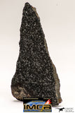 08941 - Top Rare NWA Polished Section of Enstatite Chondrite EL6 13.7 g