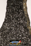 08942 - Top Rare NWA Polished Section of Enstatite Chondrite EL6 12.1 g