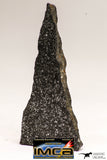 08942 - Top Rare NWA Polished Section of Enstatite Chondrite EL6 12.1 g