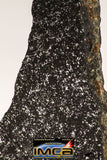 08942 - Top Rare NWA Polished Section of Enstatite Chondrite EL6 12.1 g