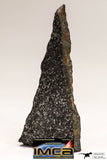 08942 - Top Rare NWA Polished Section of Enstatite Chondrite EL6 12.1 g