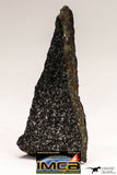 08943 - Top Rare NWA Polished Section of Enstatite Chondrite EL6 9.8 g