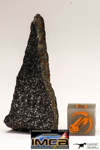 08943 - Top Rare NWA Polished Section of Enstatite Chondrite EL6 9.8 g
