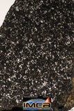 08944 - Top Rare NWA Polished Section of Enstatite Chondrite EL6 12.6 g