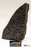 08944 - Top Rare NWA Polished Section of Enstatite Chondrite EL6 12.6 g