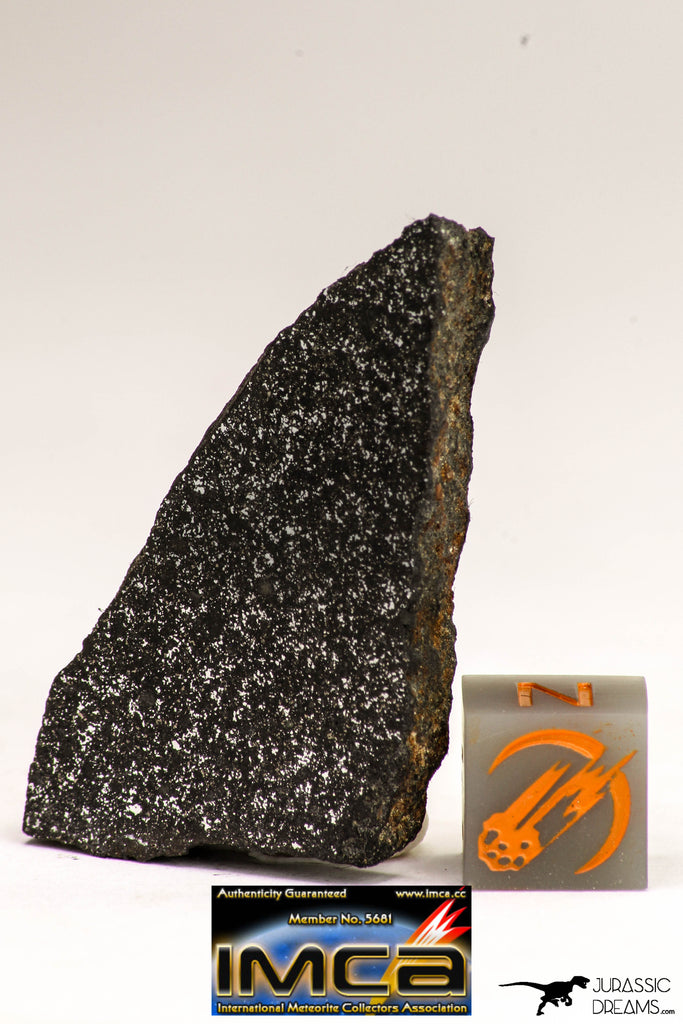 08944 - Top Rare NWA Polished Section of Enstatite Chondrite EL6 12.6 g