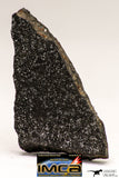 08944 - Top Rare NWA Polished Section of Enstatite Chondrite EL6 12.6 g